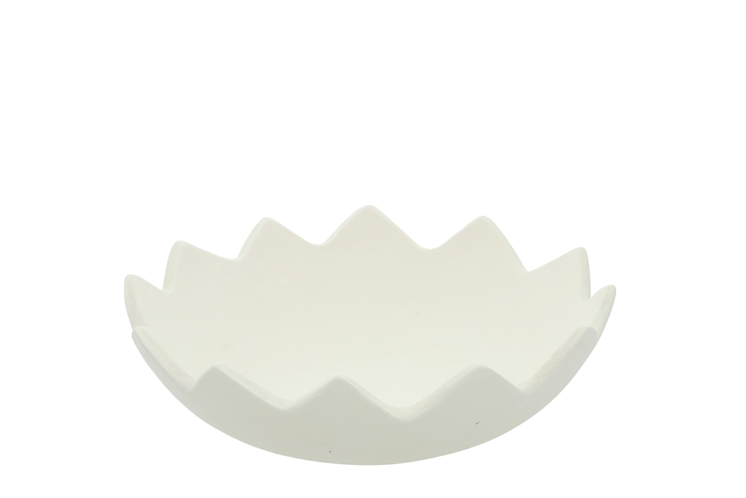 Grande coquille 16cm