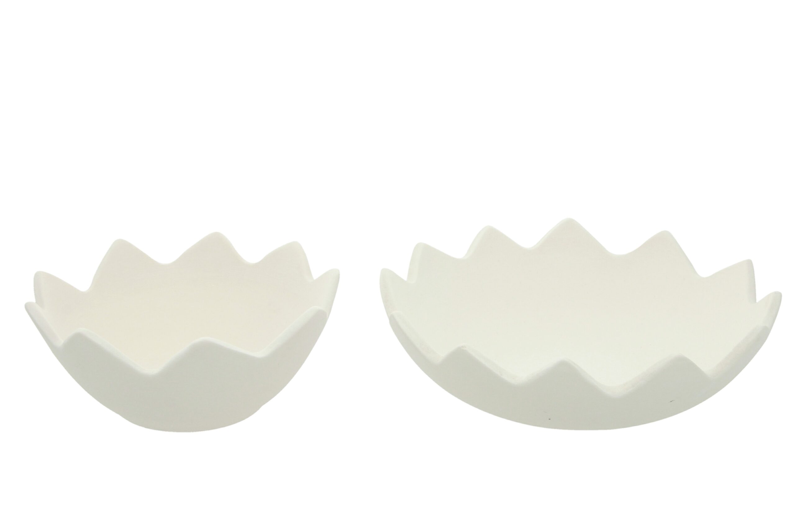 Grande coquille 16cm